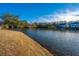 Peaceful lake view with mature trees and neighborhood homes at 3157 Timberline Dr, Johns Island, SC 29455