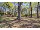 Lush backyard features mature trees and vibrant foliage for a tranquil outdoor experience at 4329 Spur St, North Charleston, SC 29405