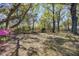 Expansive backyard with mature trees, providing ample shade and a serene outdoor space at 4329 Spur St, North Charleston, SC 29405