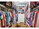 Large walk-in closet with hanging rods, shelves, and drawers at 1563 Headquarters Plantation Dr, Johns Island, SC 29455