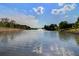 Tranquil pond view with fountain at 3002 Cross Vine Ln, Summerville, SC 29483