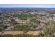 Aerial view of homes and wooded lots at 3041 Nye View Cir, Mount Pleasant, SC 29466