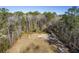 Aerial view of property with cleared land and surrounding trees at 3041 Nye View Cir, Mount Pleasant, SC 29466