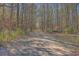 Long dirt road leading through a wooded area at 3041 Nye View Cir, Mount Pleasant, SC 29466