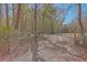 Gated entrance to a wooded property at 3041 Nye View Cir, Mount Pleasant, SC 29466