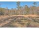 Open field with tall grass and trees in the background at 3041 Nye View Cir, Mount Pleasant, SC 29466