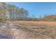 Open field with tall grass and a dirt path at 3041 Nye View Cir, Mount Pleasant, SC 29466