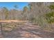 Dirt path through trees and meadow at 3041 Nye View Cir, Mount Pleasant, SC 29466