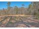 Dirt path through trees and meadow at 3041 Nye View Cir, Mount Pleasant, SC 29466