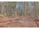 Wooded acreage with mature trees and a clearing at 3041 Nye View Cir, Mount Pleasant, SC 29466