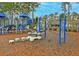 Playground with playset and exercise equipment at 3312 Middlesboro Ave, Summerville, SC 29485
