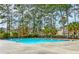 Community pool surrounded by tall trees at 3312 Middlesboro Ave, Summerville, SC 29485