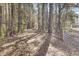 Gravel driveway leading through a wooded area to a metal gate at 369 Groomsville Rd, Moncks Corner, SC 29461