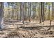 Wooded pasture with horses and water troughs at 369 Groomsville Rd, Moncks Corner, SC 29461