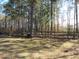Partially shaded pasture with wooden fence at 369 Groomsville Rd, Moncks Corner, SC 29461
