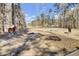 Pasture with two horses and water troughs at 369 Groomsville Rd, Moncks Corner, SC 29461