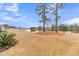 Backyard view with lake access, featuring mature trees at 559 Tidewater Chase Ln, Summerville, SC 29486