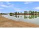 Peaceful lake view with tree reflections against a blue sky at 559 Tidewater Chase Ln, Summerville, SC 29486