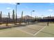 Well-lit pickleball court, perfect for some friendly competition at 559 Tidewater Chase Ln, Summerville, SC 29486