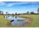 Golf course with pond and green at 1 Hunters Forest Dr, Charleston, SC 29414