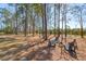 Tranquil fire pit area nestled amongst tall trees near a pond at 2737 Sarazen Dr, Mount Pleasant, SC 29466