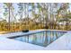 Relaxing rectangular pool surrounded by trees at 3917 Delinger Dr, Mount Pleasant, SC 29466