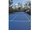 Community tennis court with blue surface, net, and fenced perimeter at 9504 Markley Blvd, Summerville, SC 29485