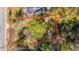 Aerial view of property showing overgrown lot and structures at 4230 Barnwell Ave, North Charleston, SC 29405