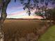 Scenic marsh view with boardwalk and sunset sky at 6411 China Back Ln, Meggett, SC 29449