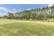 Serene pond surrounded by lush greenery and tall trees at 820 Pineneedle Way, Charleston, SC 29492