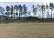 Scenic view of a community pond lined with tall trees, reflecting the cloudy sky at 229 Grand View Xing, Summerville, SC 29483