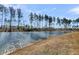 Serene water view from the property, lined with mature trees at 229 Grand View Xing, Summerville, SC 29483