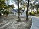 White farmhouse with driveway and large trees at 3315 Hopkinson Plantation Rd, Johns Island, SC 29455