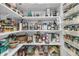 Well-organized pantry with ample shelving for food storage at 4007 Capensis Ln, Ravenel, SC 29470