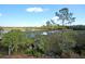 Peaceful marsh views from property at 4007 Capensis Ln, Ravenel, SC 29470