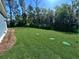 Large backyard with new sod and green space at 4235 Royal Harbor Rd, Hollywood, SC 29449