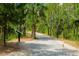 Nature trail through lush trees at 815 Dunham St, Charleston, SC 29492