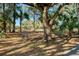 Disc golf course with wooded backdrop and palm trees at 8934 Sandy Creek Rd, Edisto Island, SC 29438