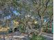 Two story home nestled amongst mature trees, showcasing a charming facade at 8934 Sandy Creek Rd, Edisto Island, SC 29438