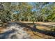 Scenic walking path meandering through a wooded area at 8934 Sandy Creek Rd, Edisto Island, SC 29438