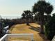 View of backyard with palm trees stretching out to ocean view at 1306 Palmetto Blvd, Edisto Beach, SC 29438