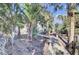Wooden walkway meanders through lush, tropical backyard landscape at 1857 Palmetto Isle Dr, Mount Pleasant, SC 29466