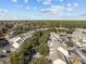 Aerial of community with houses and trees at 2971 Treadwell St St, Mount Pleasant, SC 29466