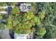 Rectangular lot surrounded by lush greenery and other homes at 615 W Beach Ct, Folly Beach, SC 29439