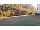 Backyard area with trees and grassy area at 1300 Park West Blvd # 1001, Mount Pleasant, SC 29466