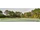 Two tennis courts surrounded by lush trees at 1300 Park West Blvd # 1001, Mount Pleasant, SC 29466