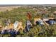 Aerial view of a neighborhood with houses and lush greenery at 2166 Brown Pelican Ln, Charleston, SC 29412