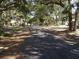 Residential street lined with lush trees and houses at 506 Jungle Rd, Edisto Island, SC 29438