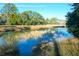Serene marsh landscape with tall grasses and water at 109 Historic Dr, Mount Pleasant, SC 29464