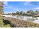 Serene pond view with lush landscaping and blue skies at 199 Schooner Bend Ave, Summerville, SC 29486